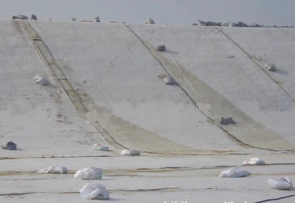 15578256633614022887120 15578256633614022887120